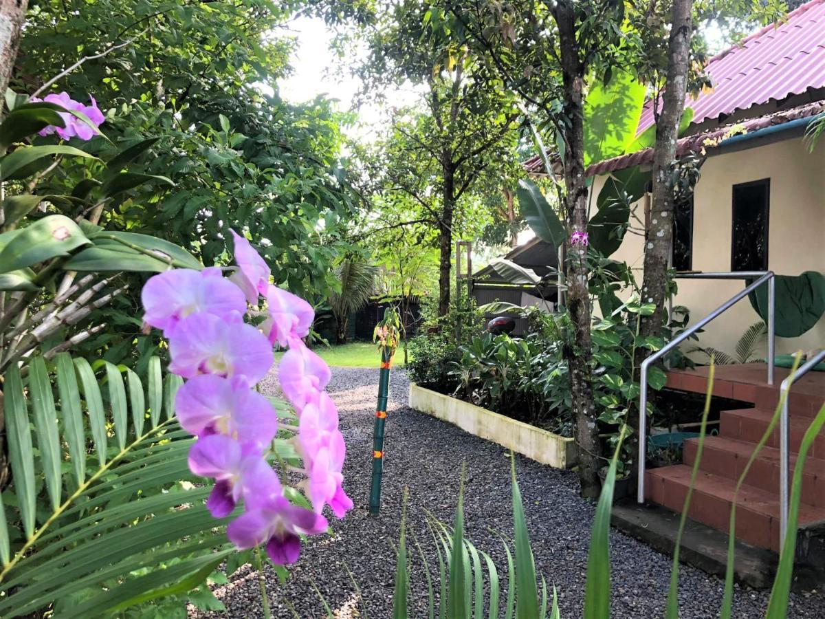 Green Mango Bungalows Kampot Buitenkant foto