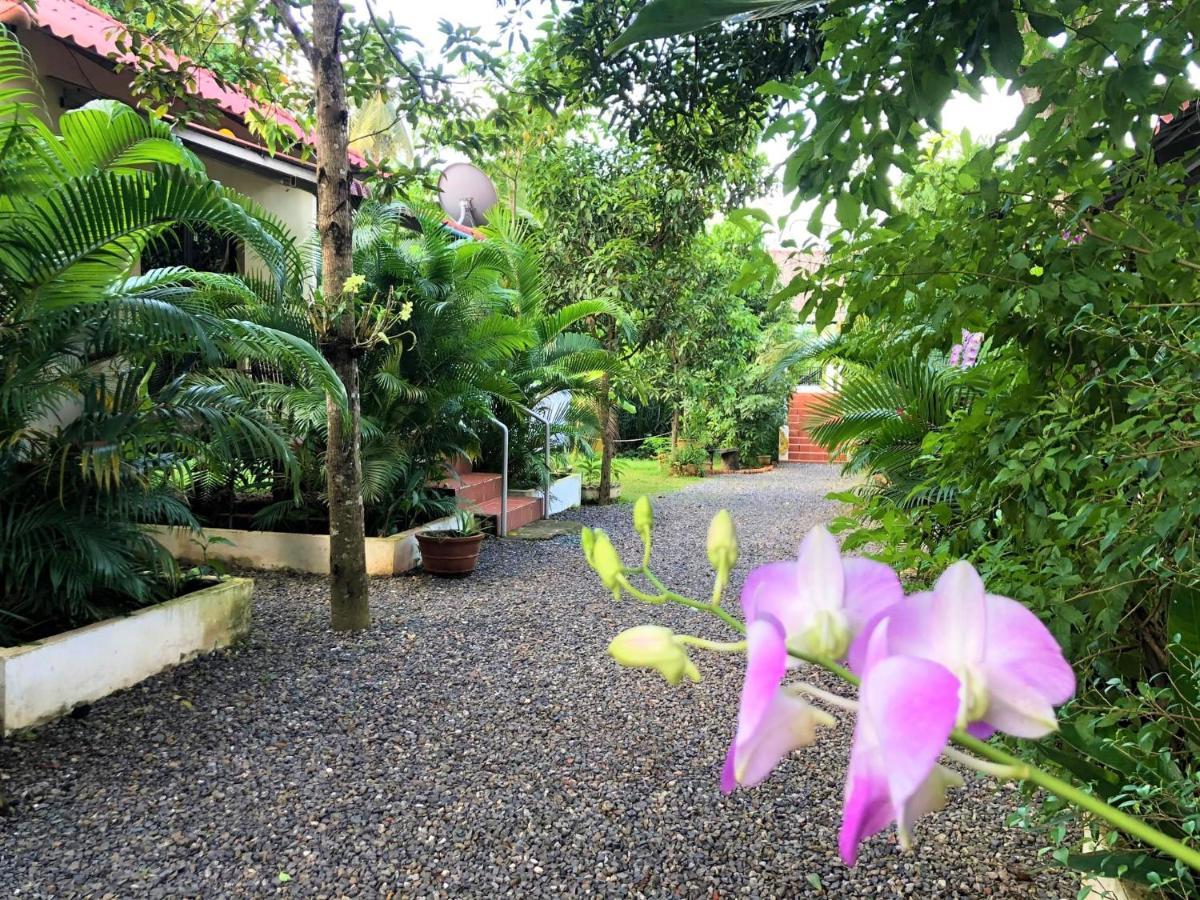 Green Mango Bungalows Kampot Buitenkant foto
