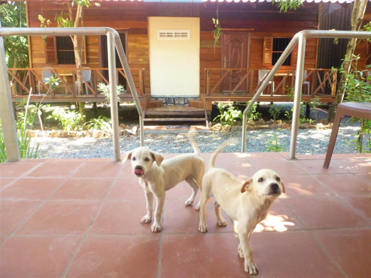 Green Mango Bungalows Kampot Buitenkant foto